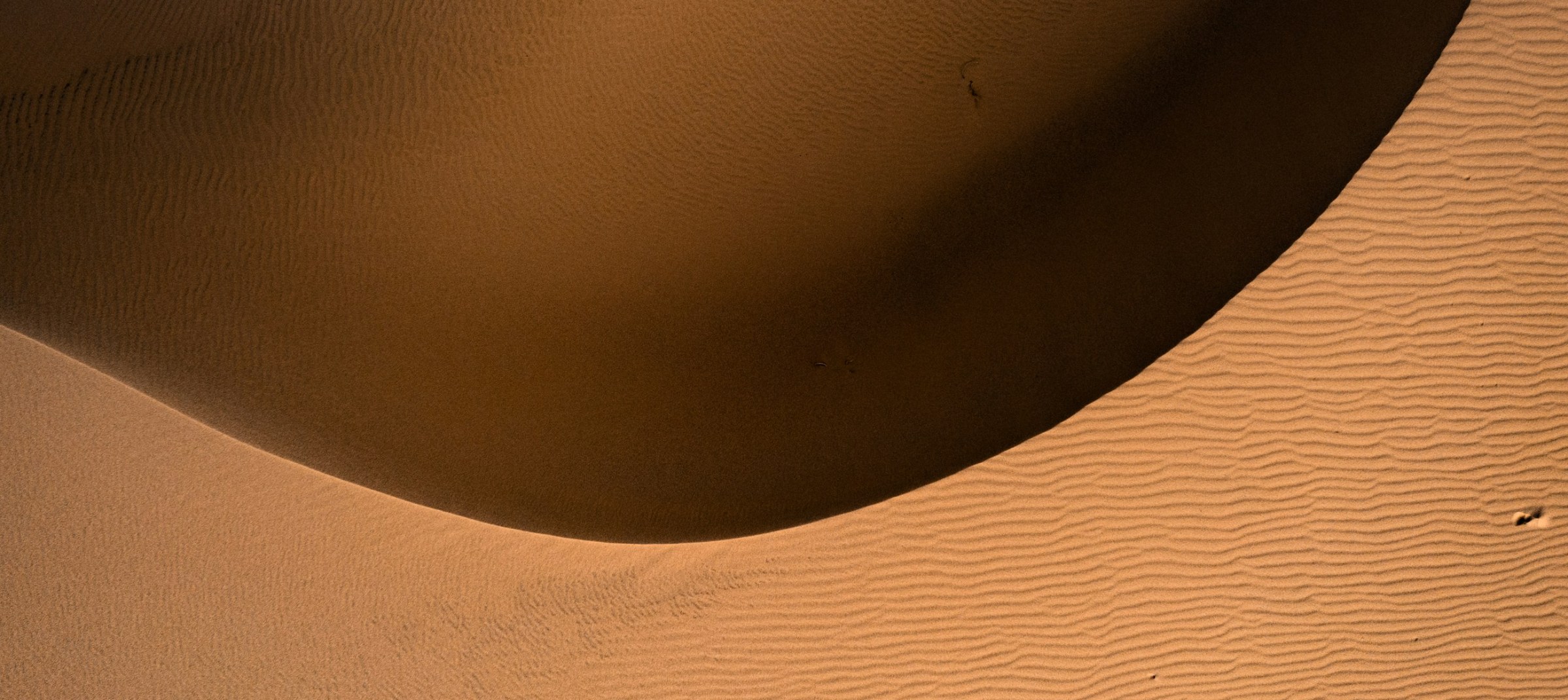 Soft daylight across a dune