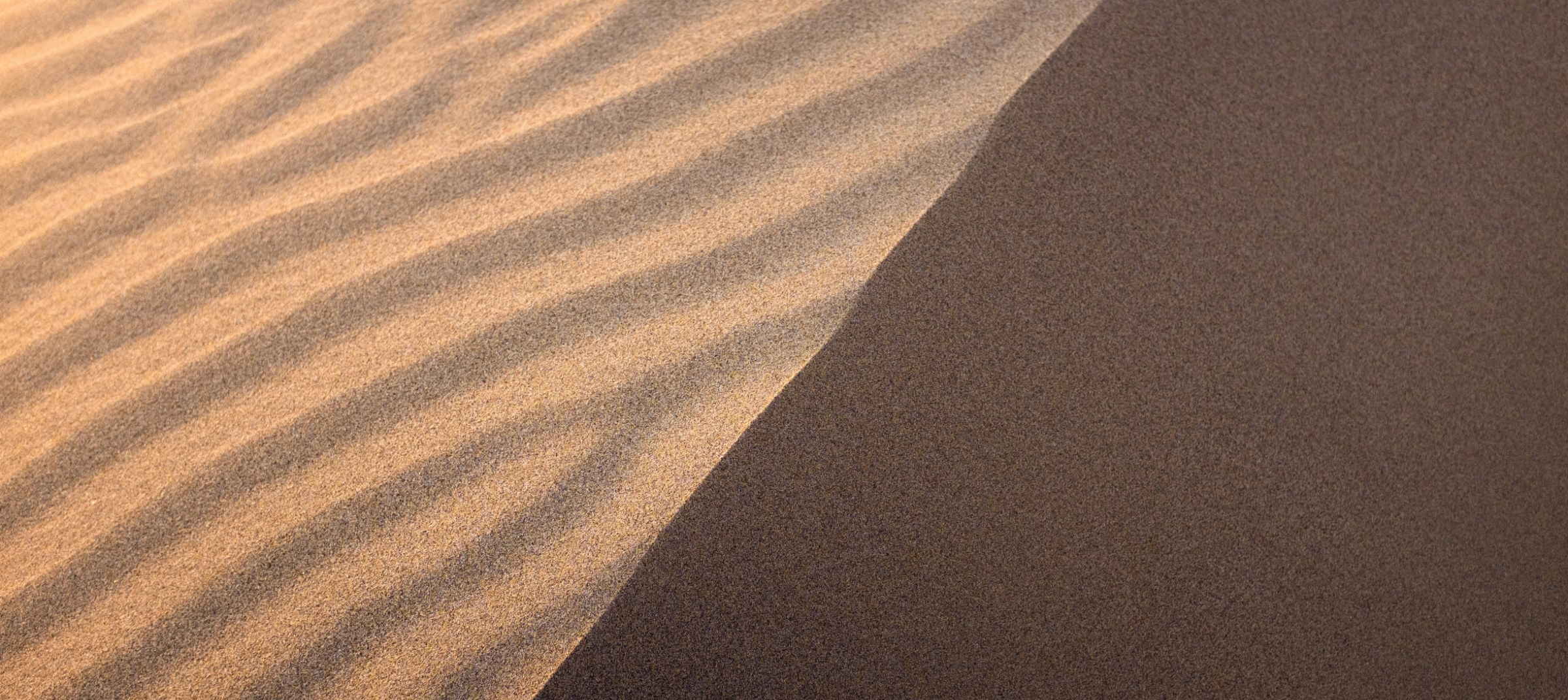 Soft daylight across a dune
