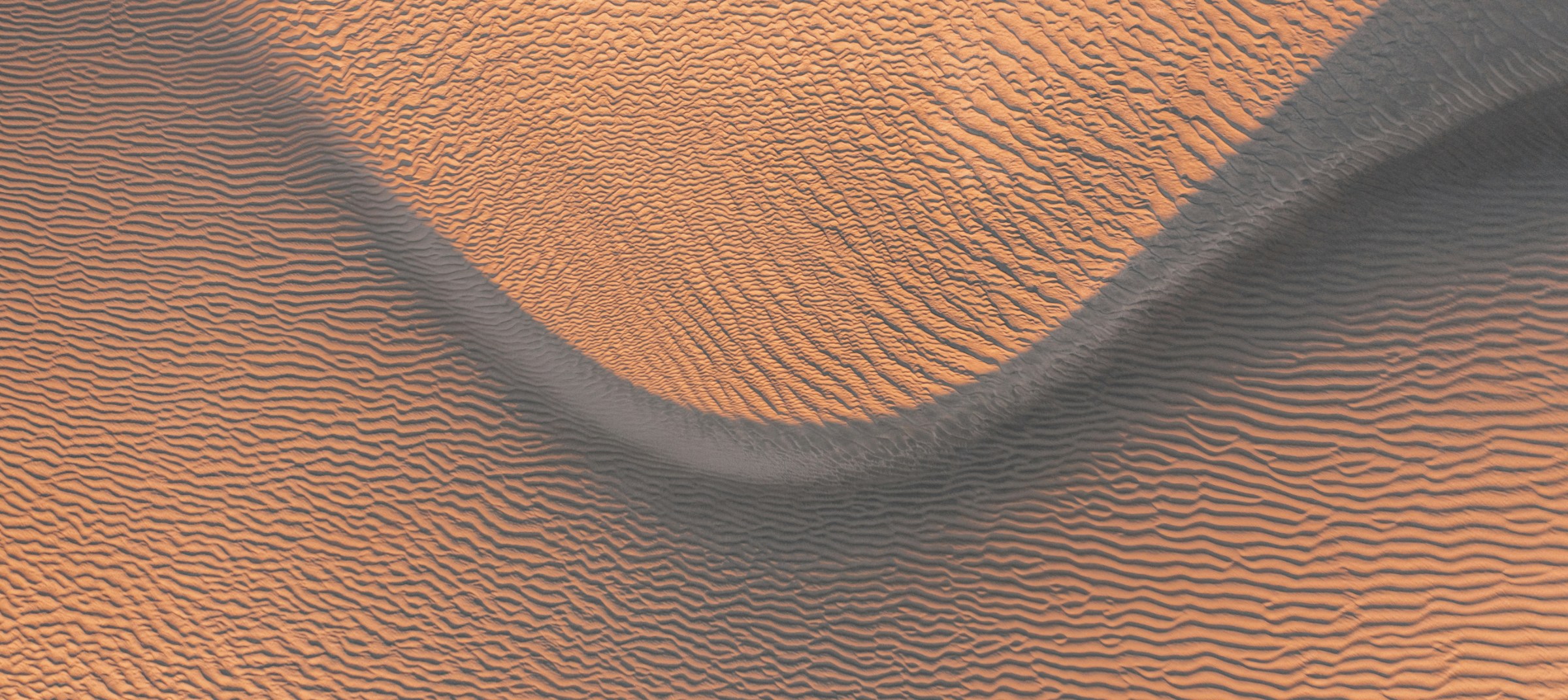Soft daylight across a sand dune
