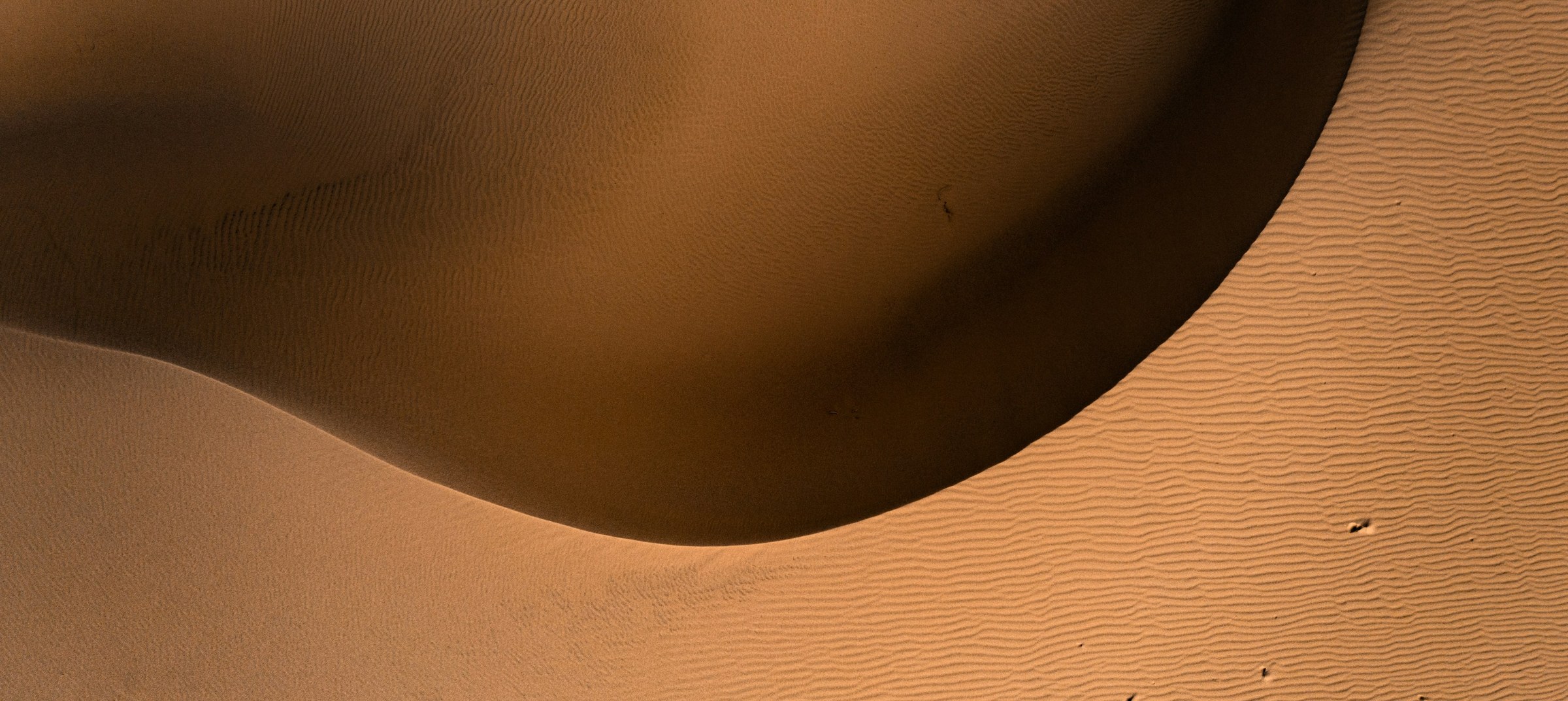 Soft daylight across a sand dune